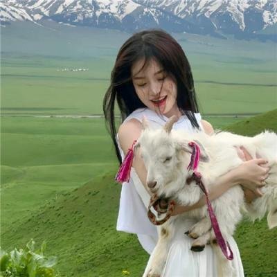 维和部队 在线观看封面